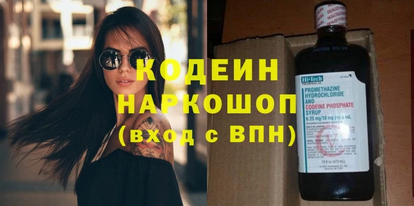 хмурый Алзамай