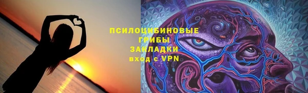 молекула духа Алексеевка