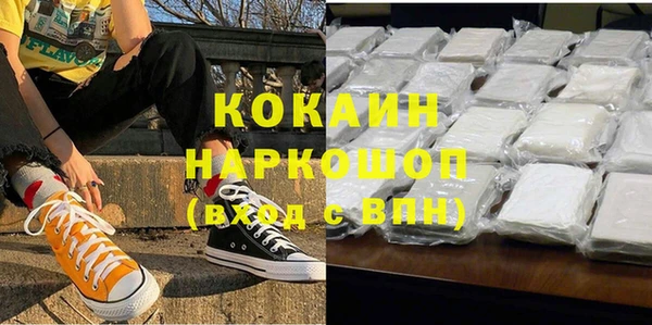 хмурый Алзамай