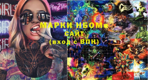 хмурый Алзамай