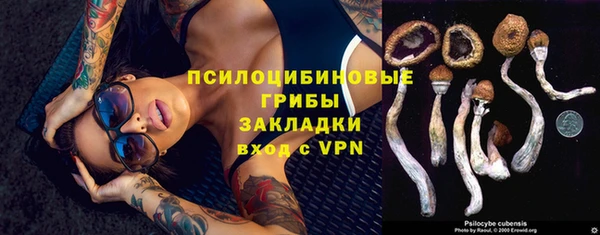 молекула духа Алексеевка