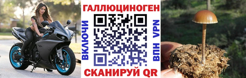 сайты даркнета телеграм  MEGA как войти  Дрезна  Псилоцибиновые грибы прущие грибы 
